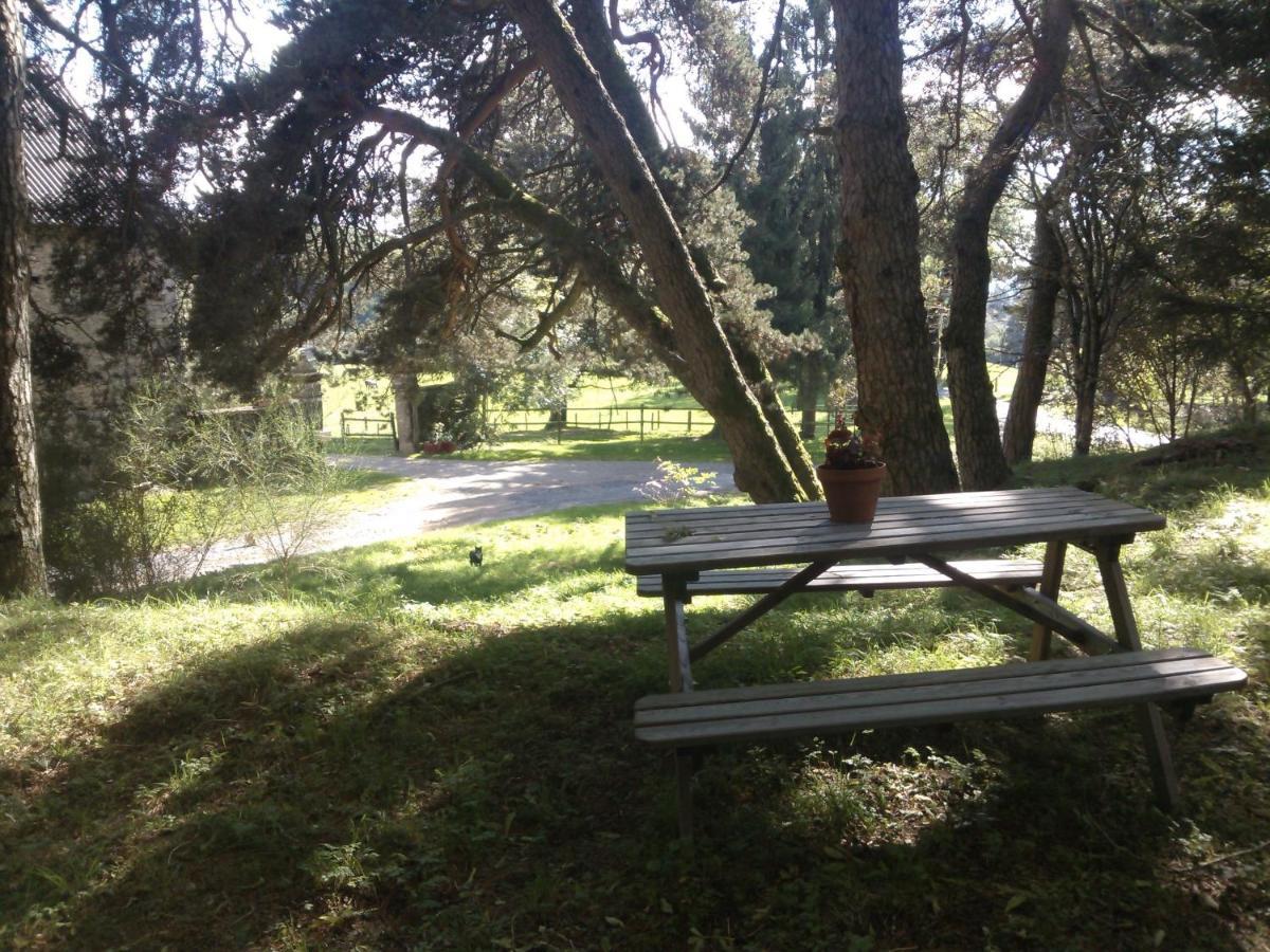 Domaine D'Angel-Berg Hotel Vezins-de-Levezou Buitenkant foto
