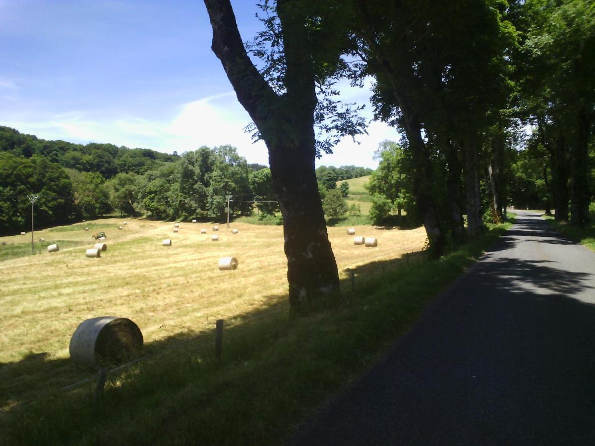 Domaine D'Angel-Berg Hotel Vezins-de-Levezou Buitenkant foto